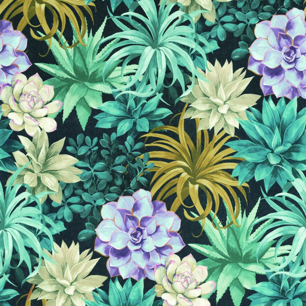 BOTA85916585 Echeveria Botanica Wallpaper by Casadeco