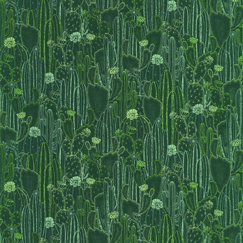 BOTA85927429 Cactaceae Botanica Wallpaper by Casadeco