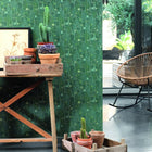 BOTA85927429 Cactaceae Botanica Wallpaper by Casadeco