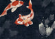 Bekko Dark Sakura Mural by Coordonné