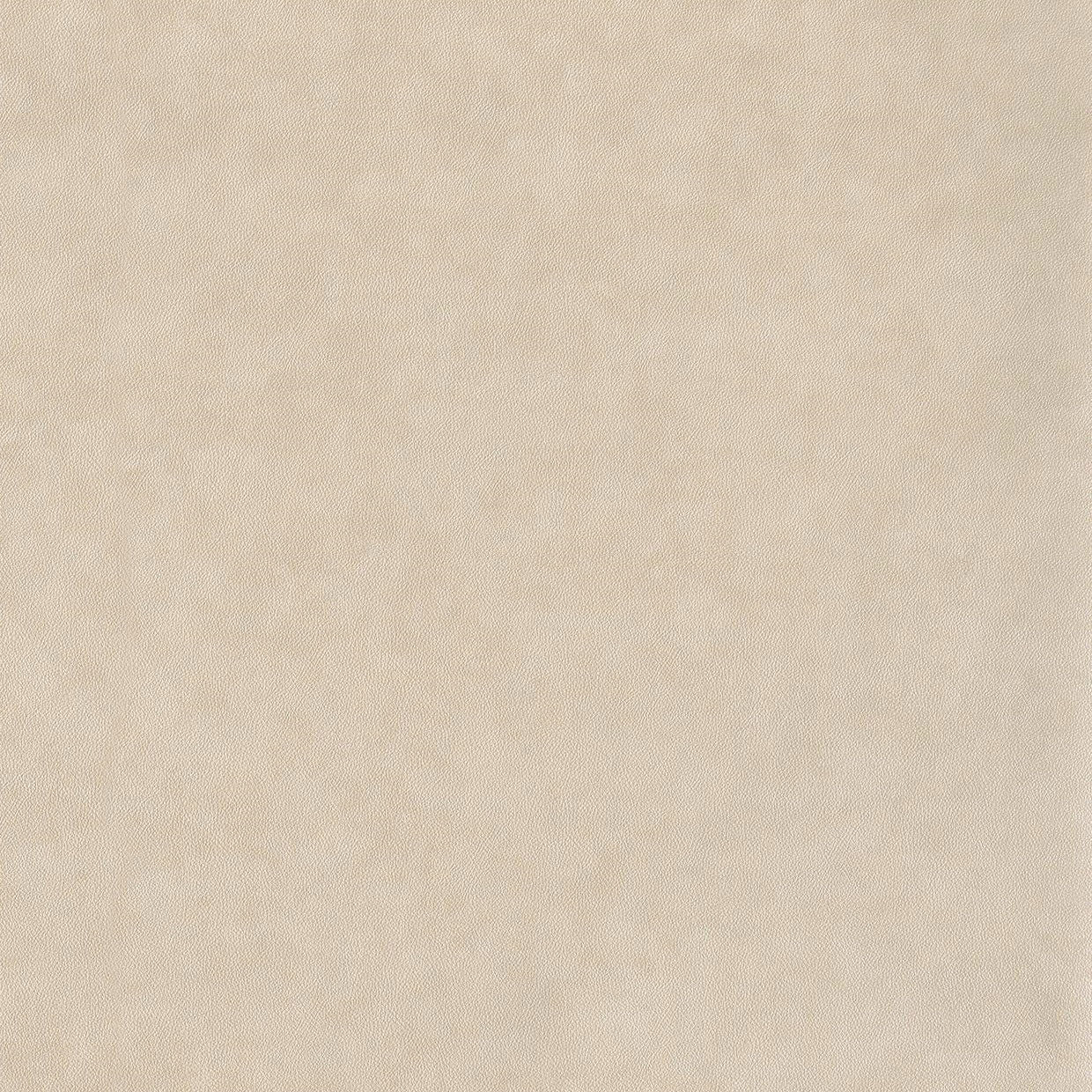 COLR87131121 Club So Color 5 Wallpaper by Casadeco