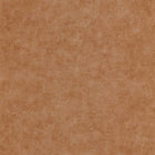 LEAT87132409 Club Leathers Wallpaper by Casadeco