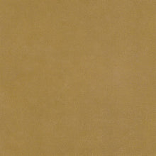 LEAT87162407 Galuchat Leathers Wallpaper by Casadeco