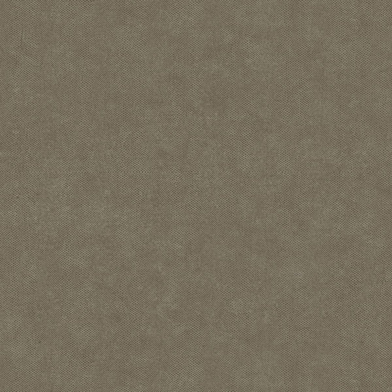 LEAT87169409 Galuchat Leathers Wallpaper by Casadeco