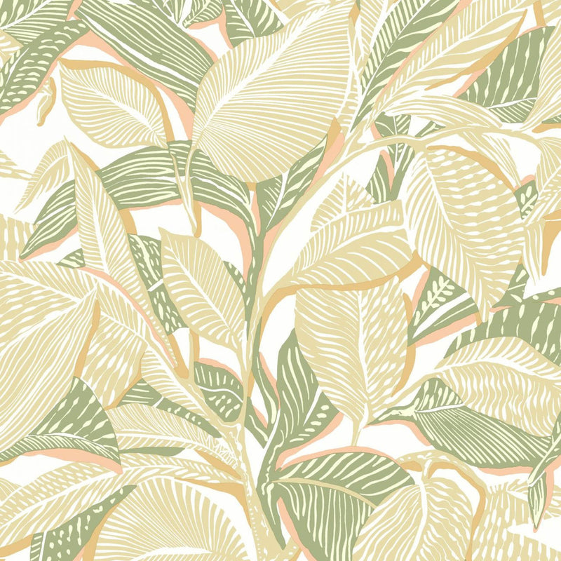 MEDI87417430 Riviera Mediterranee Melon Wallpaper by Casadeco