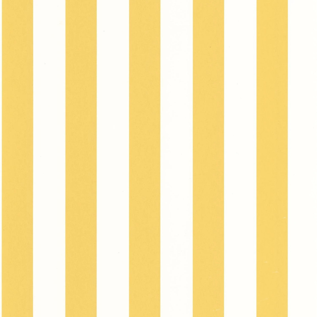 RAYS87432043 Les Rayures Olympe Wallpaper by Casadeco