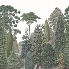 MEDI87457206 Pinede Mural Mediterranee Wallpaper by Casadeco