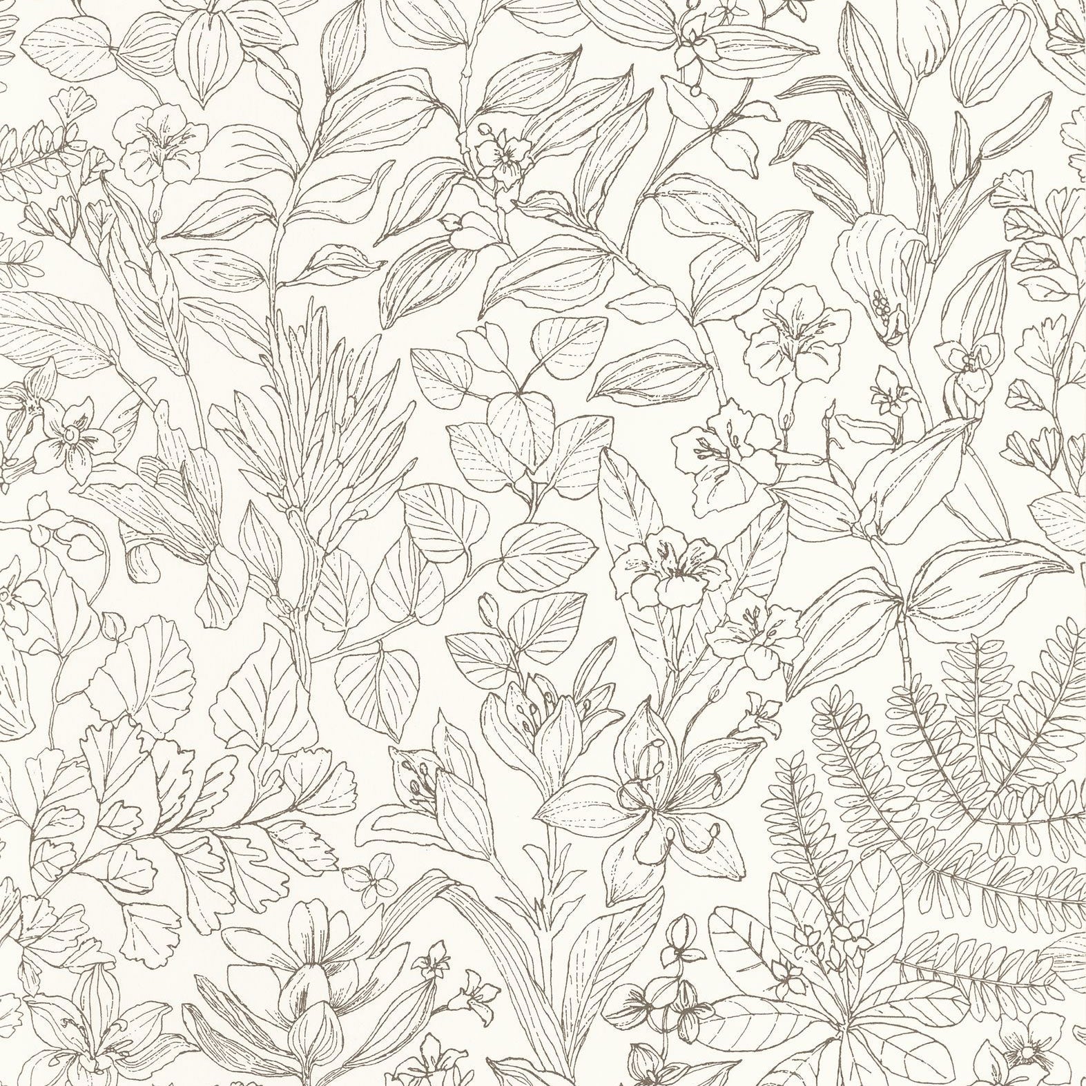 Esquisse Noir  Gravure Gardens Wallpaper by Casadeco