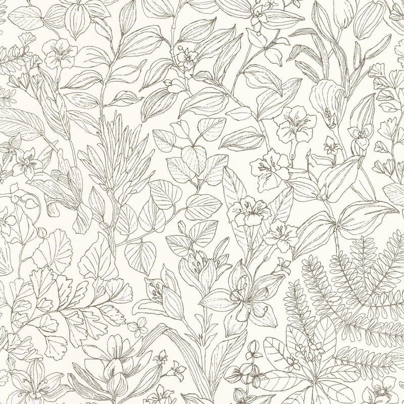 Esquisse Noir  Gravure Gardens Wallpaper by Casadeco