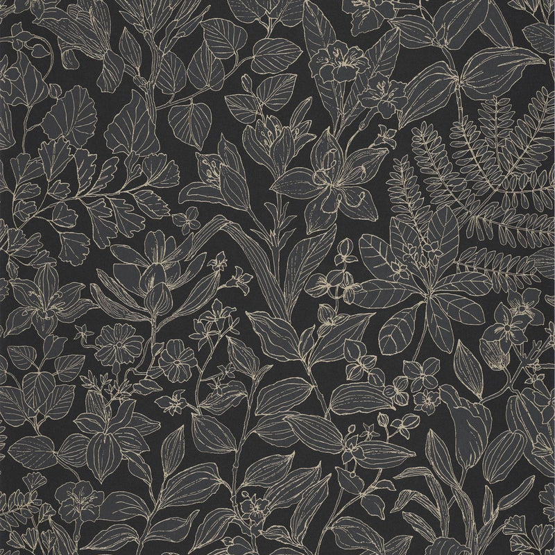 Esquisse Noir Fusain Gardens Wallpaper by Casadeco