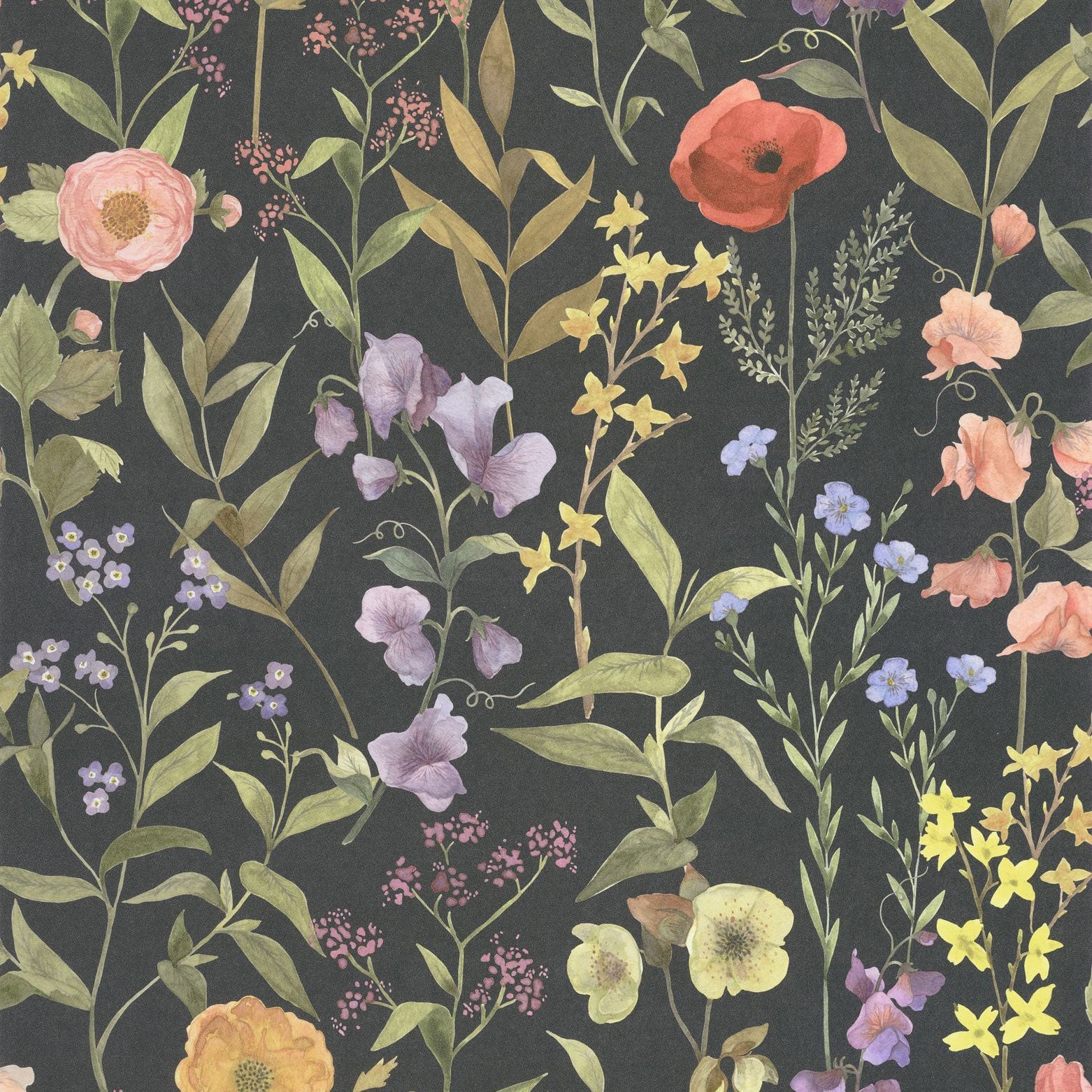 Fleurs Des Champs Noir Fusain Gardens Wallpaper by Casadeco