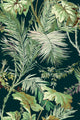 Vegetable Green Metamorphosis Wallpaper by Coordonné