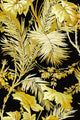 Vegetable Black Metamorphosis Wallpaper by Coordonné