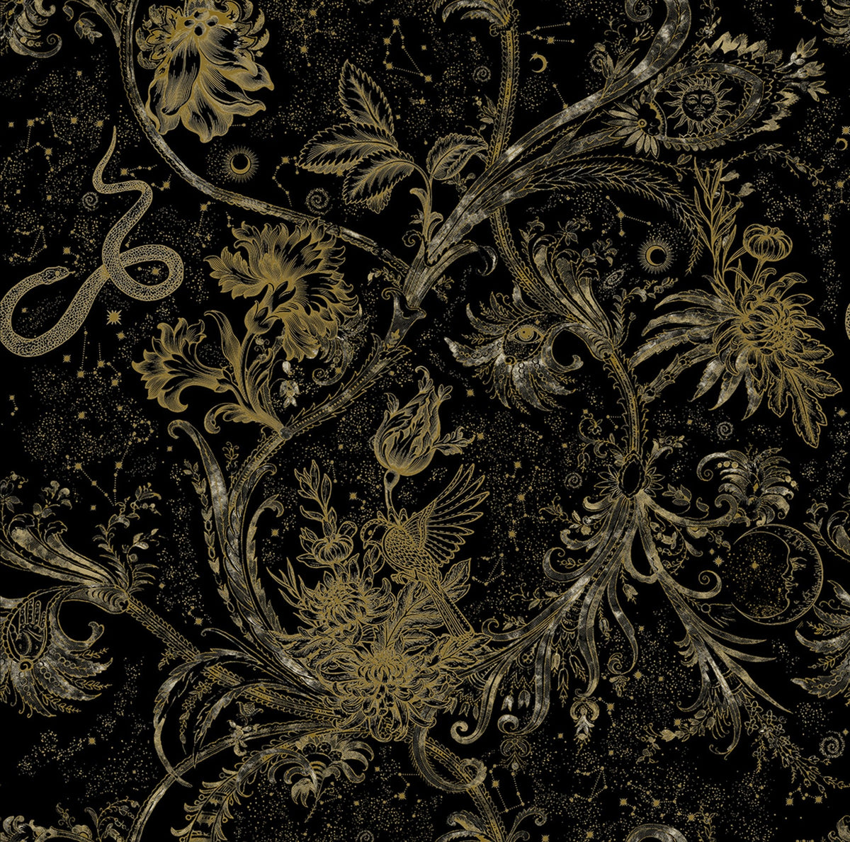 8800026 Neo-mithology Black Metamorphosis Wallpaper by Coordonné