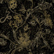 Neo-Mithology Black Metamorphosis Wallpaper by Coordonné