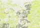 Neo-Tapestry Lime Metamorphosis Mural by Coordonné (400x280cm)