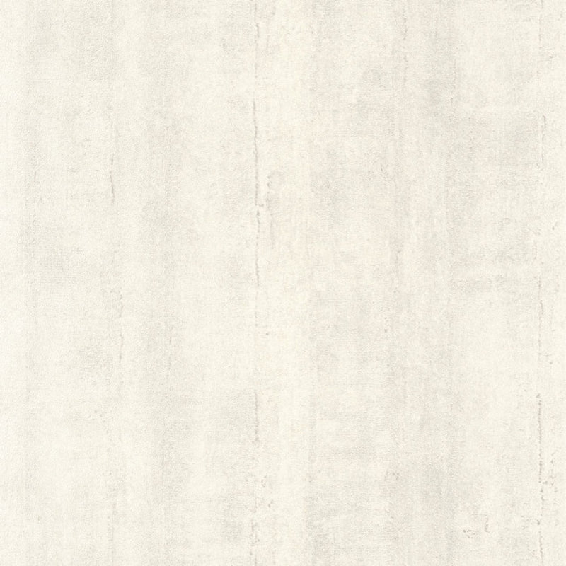 MNR88069141 Beton Minerals Wallpaper by Casadeco