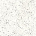 Marbre Minerals Wallpaper by Casadeco