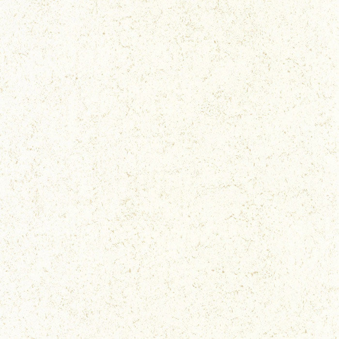 MNR88090220 Mur A La Chaux Minerals Wallpaper by Casadeco