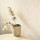 COLR88091138 Mur A La Chaux So Color 5 Wallpaper by Casadeco