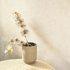COLR88091138 Mur A La Chaux So Color 5 Wallpaper by Casadeco
