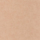 COLR88094242 Mur A La Chaux So Color 5 Wallpaper by Casadeco