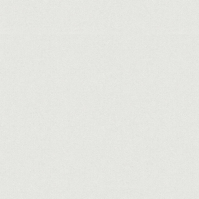 88185-4 Styleguide Colours 2024 Wallpaper by A S Creation