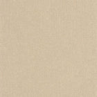 COLR88191386 Java So Color 5 Wallpaper by Casadeco