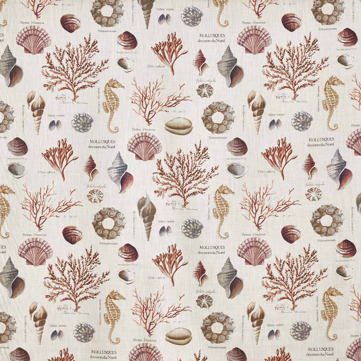 8821/406 St Helier Coral Jersey Fabric by Prestigious Textiles