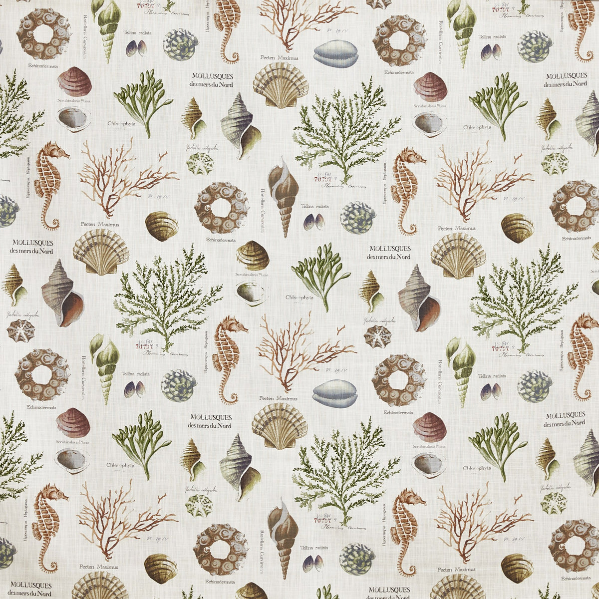 8821/695 St Helier Sea Weed Jersey Fabric by Prestigious Textiles