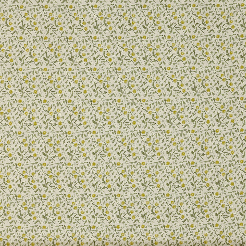 8830/779 Barbara Cucumber Pippin Fabric by Prestigious Textiles