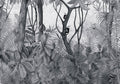 Casa De Vidro Off Random Archist Mural by Coordonné
