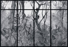 9000055 Casa De Vidro Off Frame Random Archist Mural by Coordonné