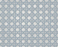 Ratán Blue (350 × 280 cm) Random Archist Mural by Coordonné