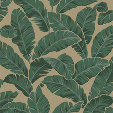 900100 Mustique Sophie Conran Flock Wallpaper by Arthouse
