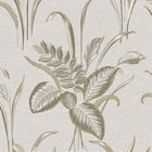 GB 9009 Palma Leaf Mocha and Champange Wallpaper By Belgravia Zambaiti Parati