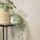 9033 Carlotta Texture wallpaper by Belgravia