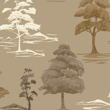 9038 Carlotta Tree wallpaper by Belgravia