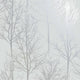 Rhea Zandra Trees Grey and Silver Wallpaper By Holden Decor