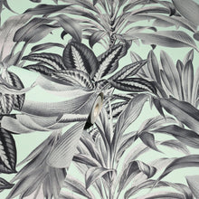 909500 Greenhouse Plants Mint Wallpaper By Arthouse