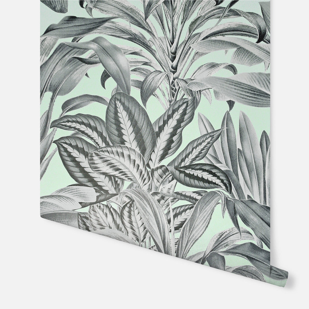 909500 Greenhouse Plants Mint Wallpaper By Arthouse