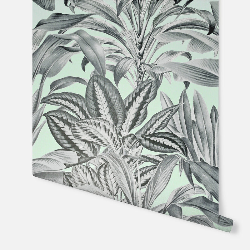 909500 Greenhouse Plants Mint Wallpaper By Arthouse