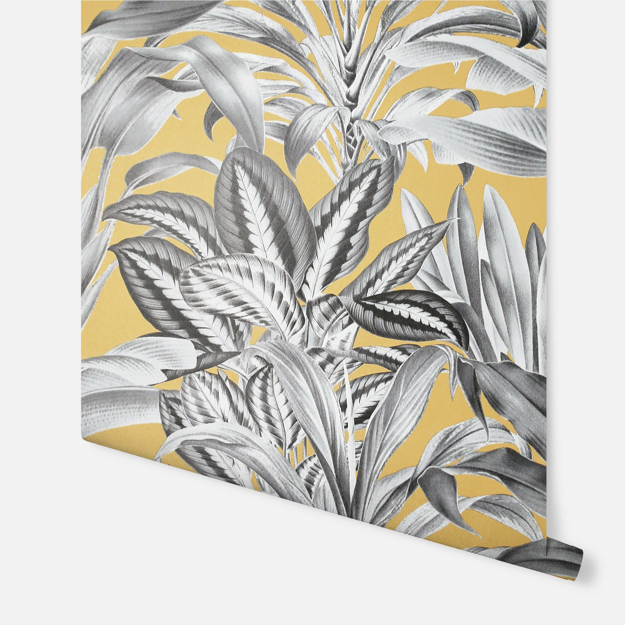 909502 Greenhouse Plants Ochre Wallpaper By Arthouse