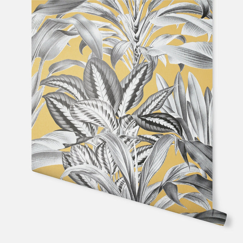 909502 Greenhouse Plants Ochre Wallpaper By Arthouse