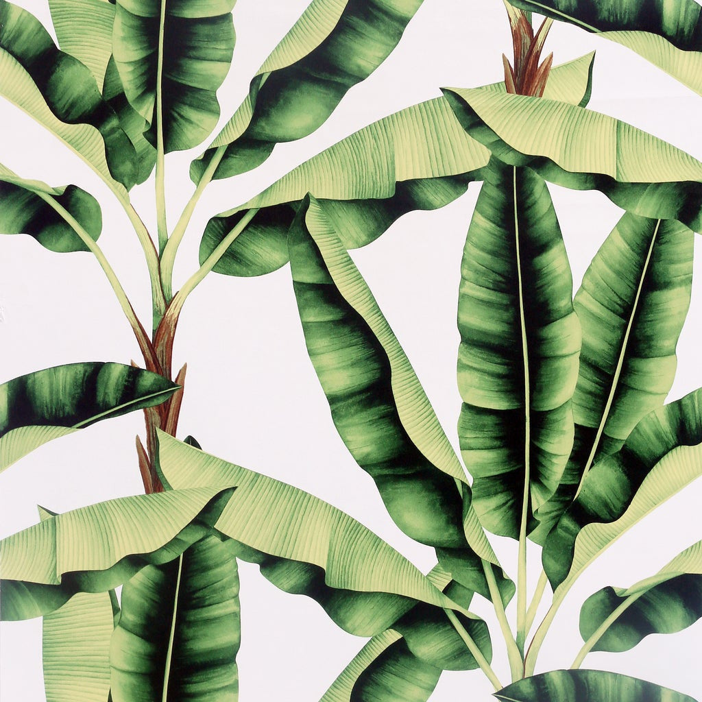 909604 Musa Green Wallpaper by Arthouse