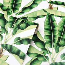 909604 Musa Green Wallpaper by Arthouse