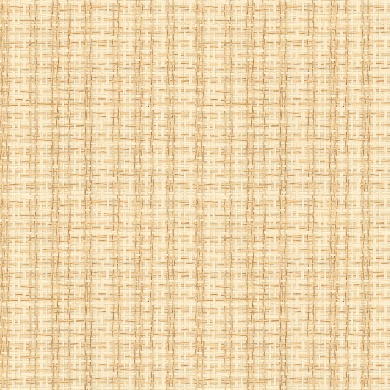 9100001 Design 1 Piece Unique Wallpaper by Coordonné