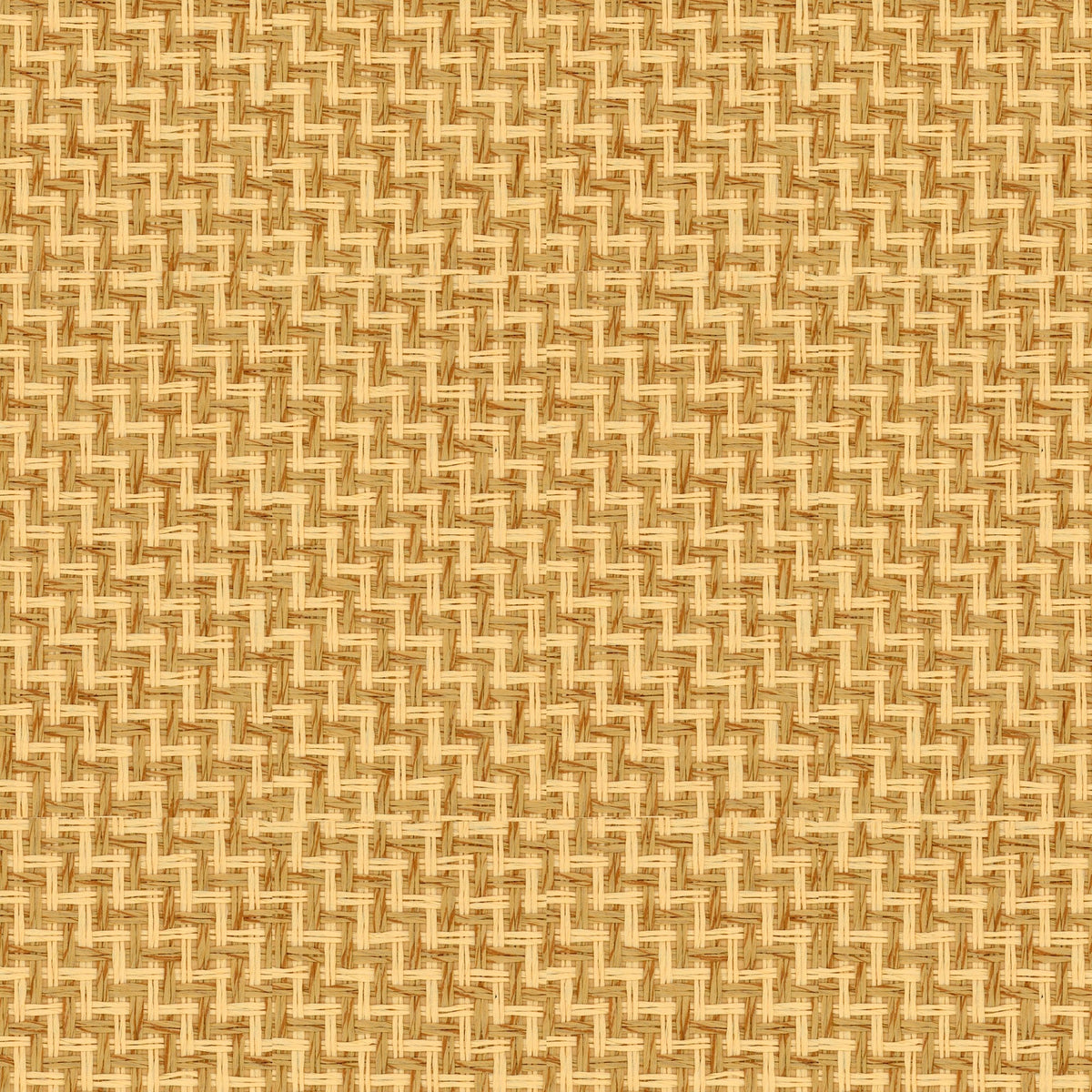 9100004 Design 6 Piece Unique Wallpaper by Coordonné
