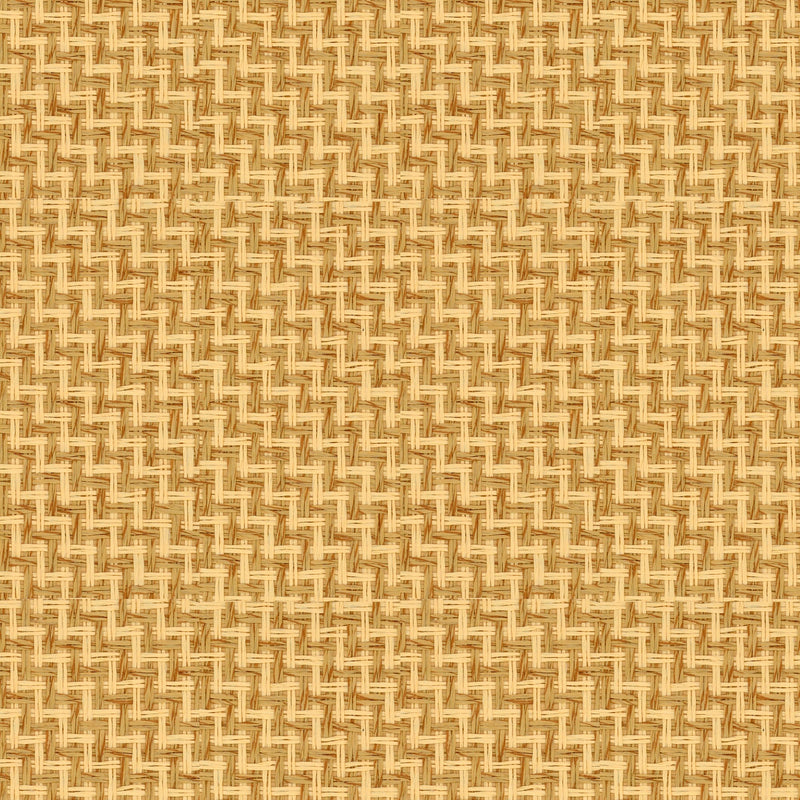 9100004 Design 6 Piece Unique Wallpaper by Coordonné