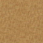 9100010 Design 11 Piece Unique Wallpaper by Coordonné